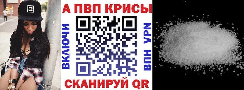 A PVP СК КРИС  Енисейск 