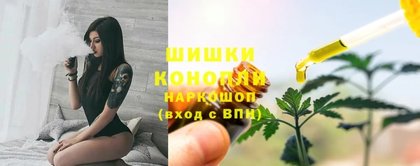 прущая мука Гусиноозёрск
