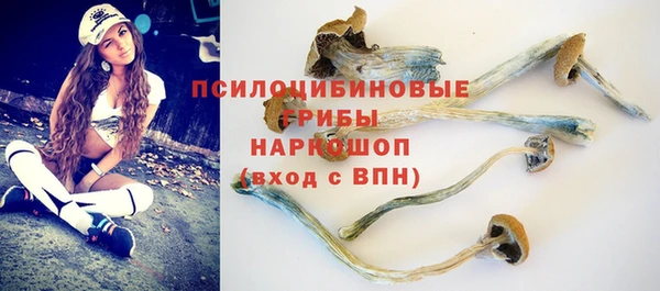 прущая мука Гусиноозёрск