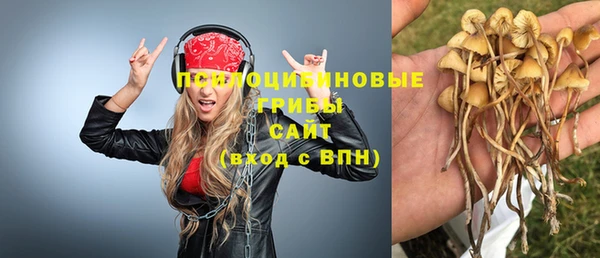 первитин Гусь-Хрустальный